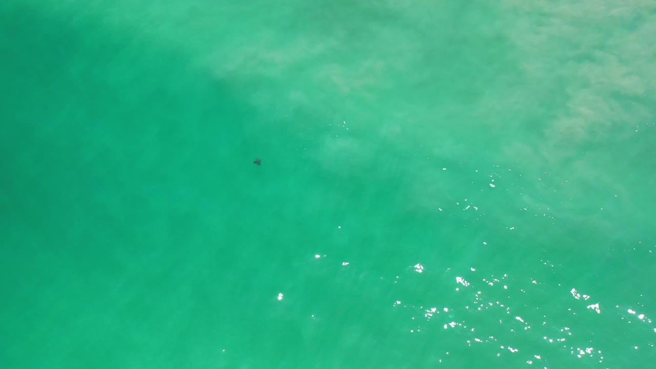 Turquoise water surface with bright reflections and a tiny dark object near the upper left area.