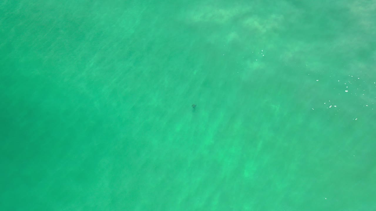 Overhead view of green water in Los Cabos, Mexico, with soft ripples, faint underwater color variation, and no visible people.