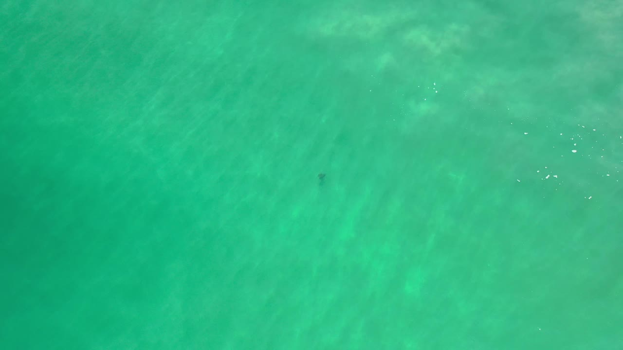 Green turquoise water fills the frame in Los Cabos, Mexico, with pale streaks below the surface and no visible people or land.