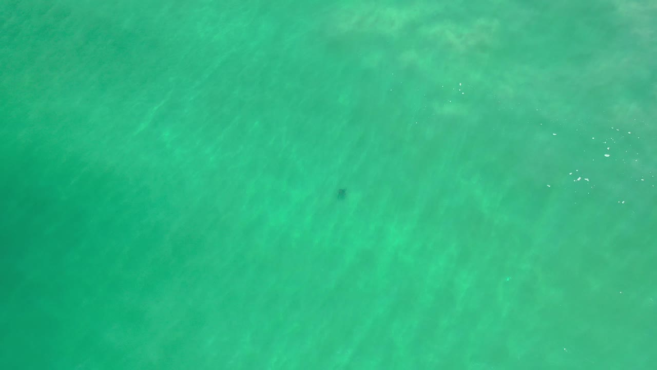 Aerial view of green water with small highlights