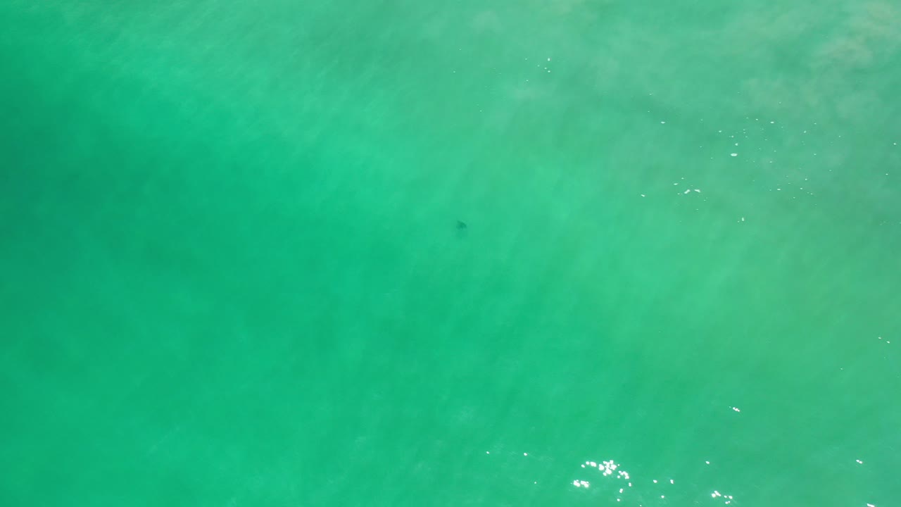 Green-turquoise seawater with faint underwater clouding and small surface glints.