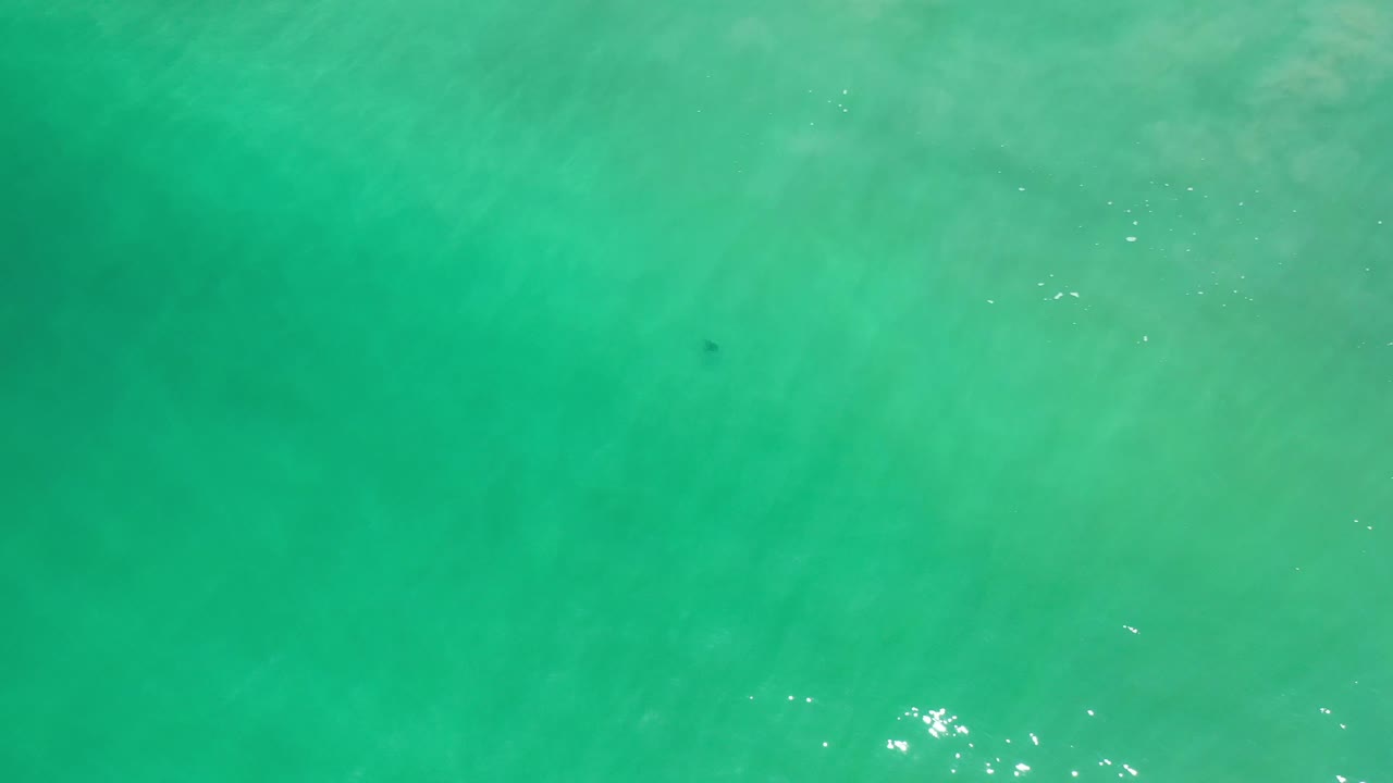 Clear green water fills the Los Cabos frame, with gentle ripples, muted underwater texture, and no visible people.