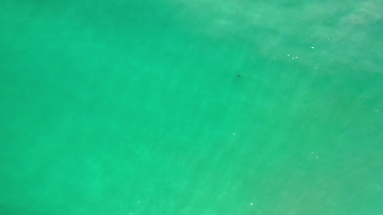Top-down green ocean water with faint submerged dark object