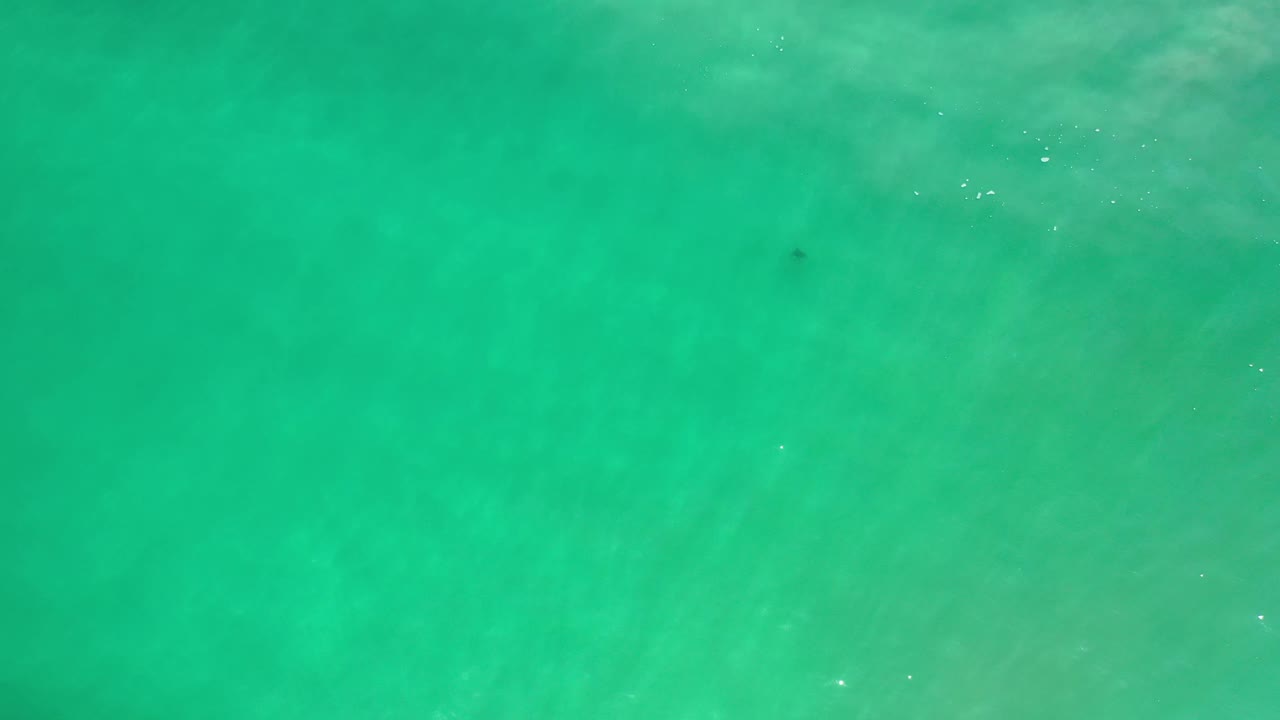 Top-down Los Cabos water frame with pale ripple bands across the green surface and a faint submerged mark near the lower center, with no visible people.