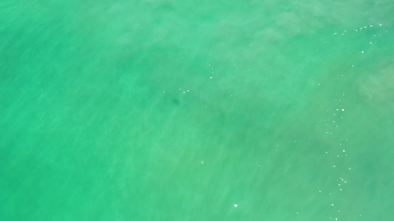 Turquoise ocean water fills the opening frame in Los Cabos, Mexico, with faint wave texture, scattered bright sparkles, and no visible people.