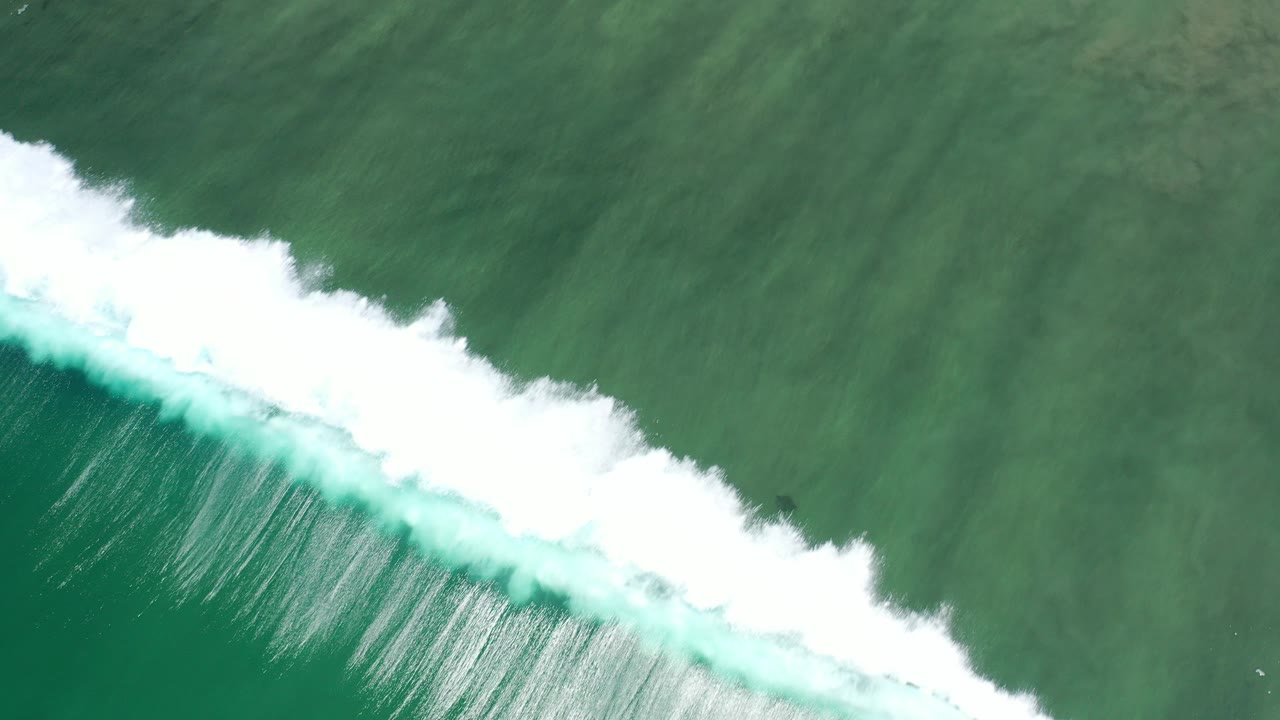 Overhead view of a white breaking wave moving across green-blue ocean water in Los Cabos, Mexico, with no visible people.