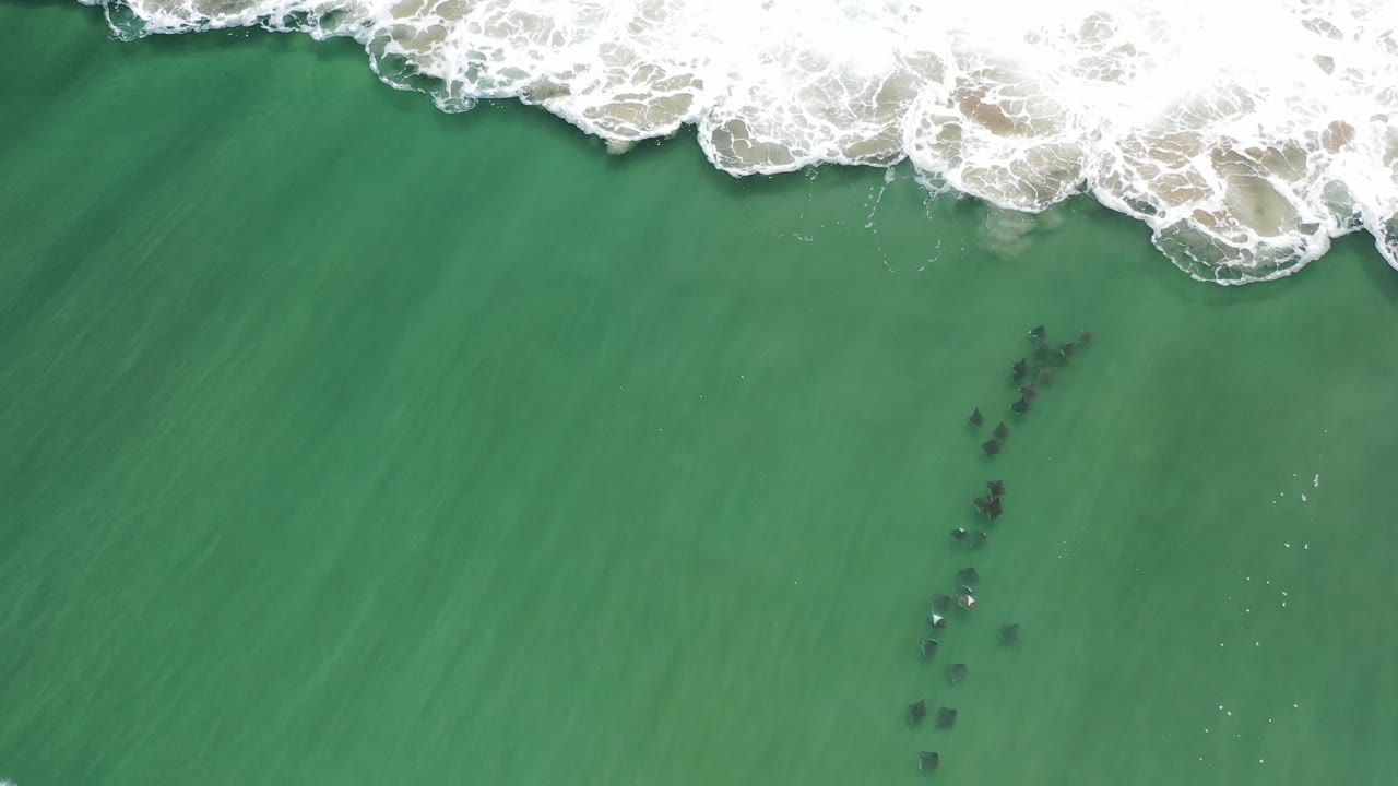 Green water and distant surf with dark marine shapes clustered below.