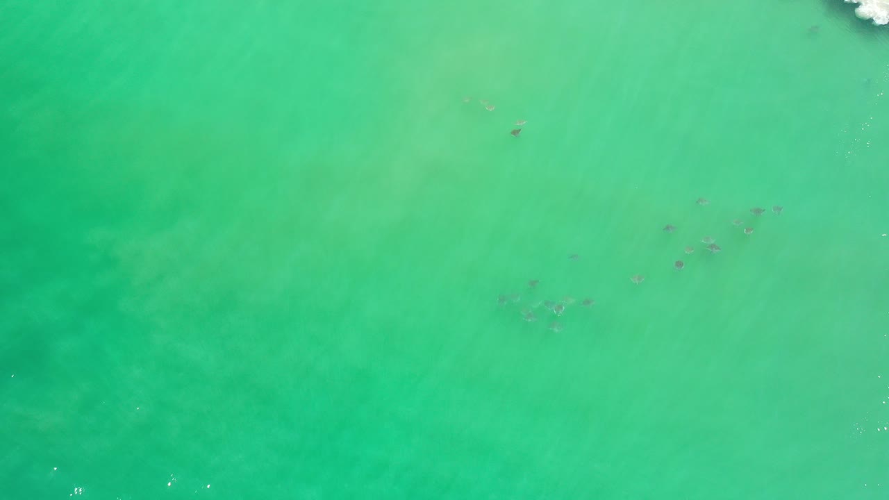 Overhead Los Cabos ocean water in bright green tones with faint underwater shadows and no visible people at the start of the clip.