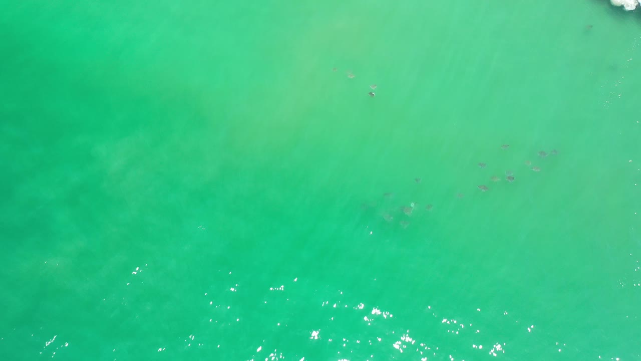 Green ocean water with bright sun glints on the surface.