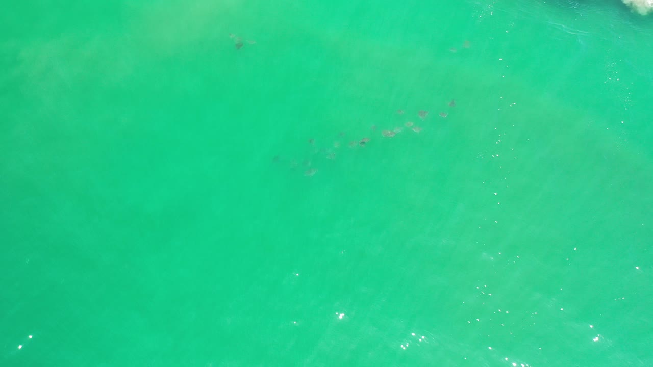 Overhead view of clear turquoise water in Los Cabos, Mexico, with a loose group of small fish near the upper center and no visible people.