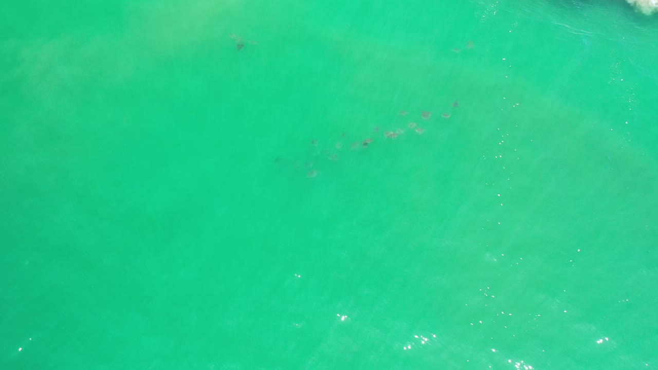 Clear green-blue sea in Los Cabos, Mexico, with a small cluster of fish faintly visible below the surface and no visible people.