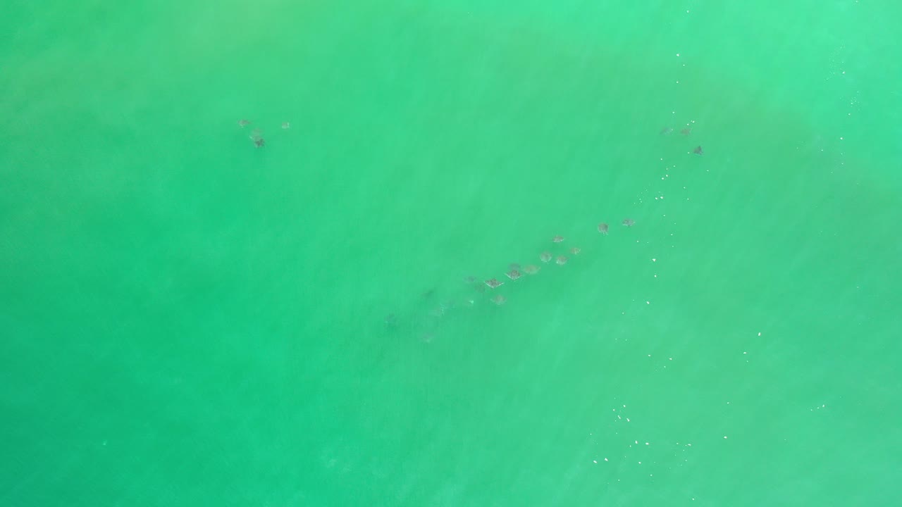 Overhead greenish blue water with faint darker patches.