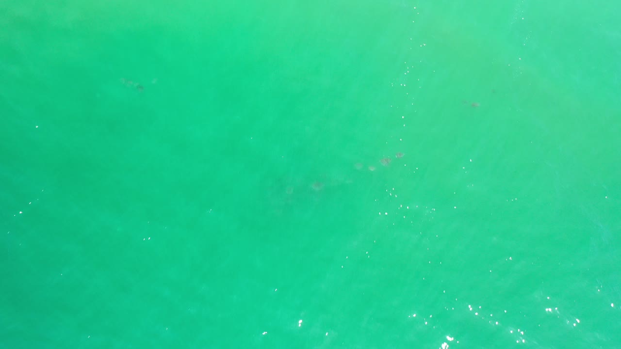 Overhead Los Cabos, Mexico water frame with green turquoise surface texture, faint darker patches under the water, scattered highlights, and no visible people.