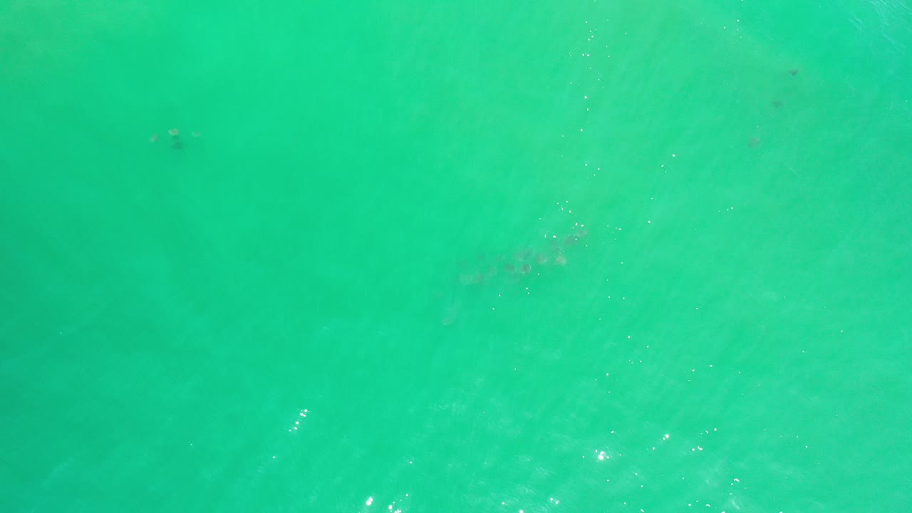 Overhead view of turquoise-green water in Los Cabos, Mexico, with scattered sun flecks, faint darker patches below the surface, and no visible people.