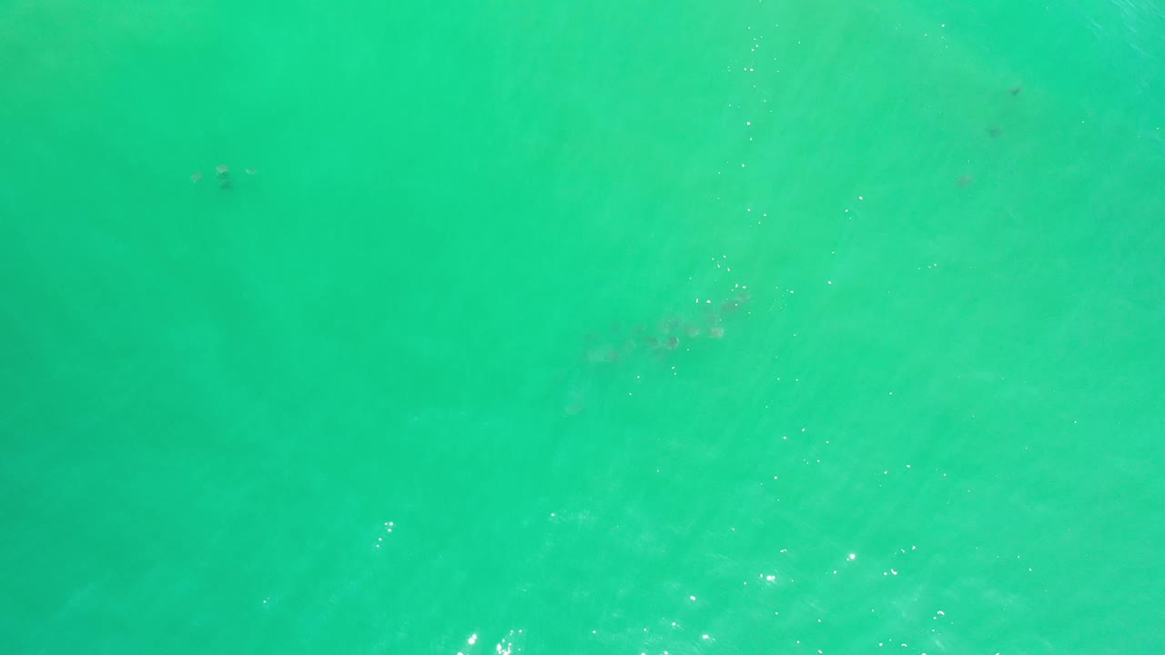 Aerial-looking frame of green-blue ocean in Los Cabos, Mexico, with small white surface glints and a barely visible darker shape beneath the water, no visible people.