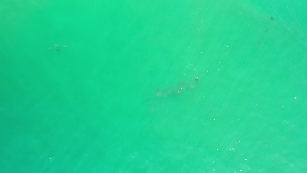 Turquoise sea surface with pale underwater clouding and scattered sparkles.