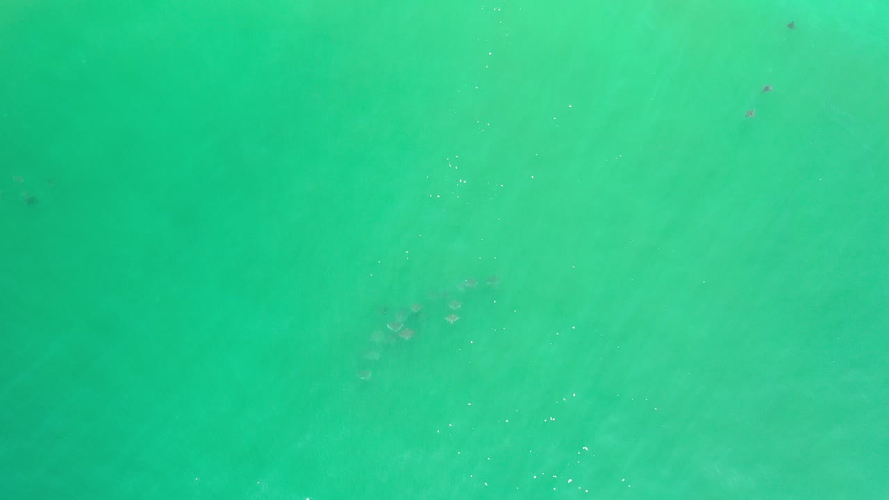 Top-down view of turquoise ocean surface in Los Cabos, Mexico, with faint ripples and no visible people.