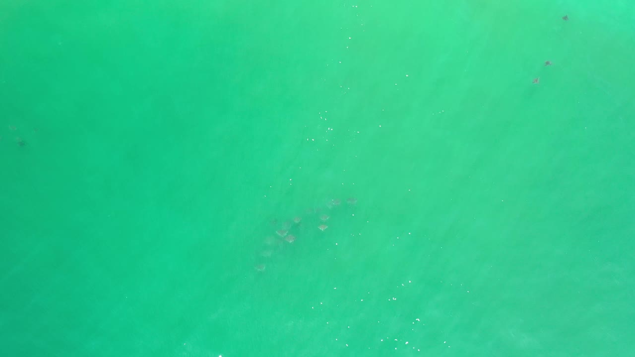 Overhead Los Cabos ocean frame with blue green water, light surface sparkle, and no visible people.