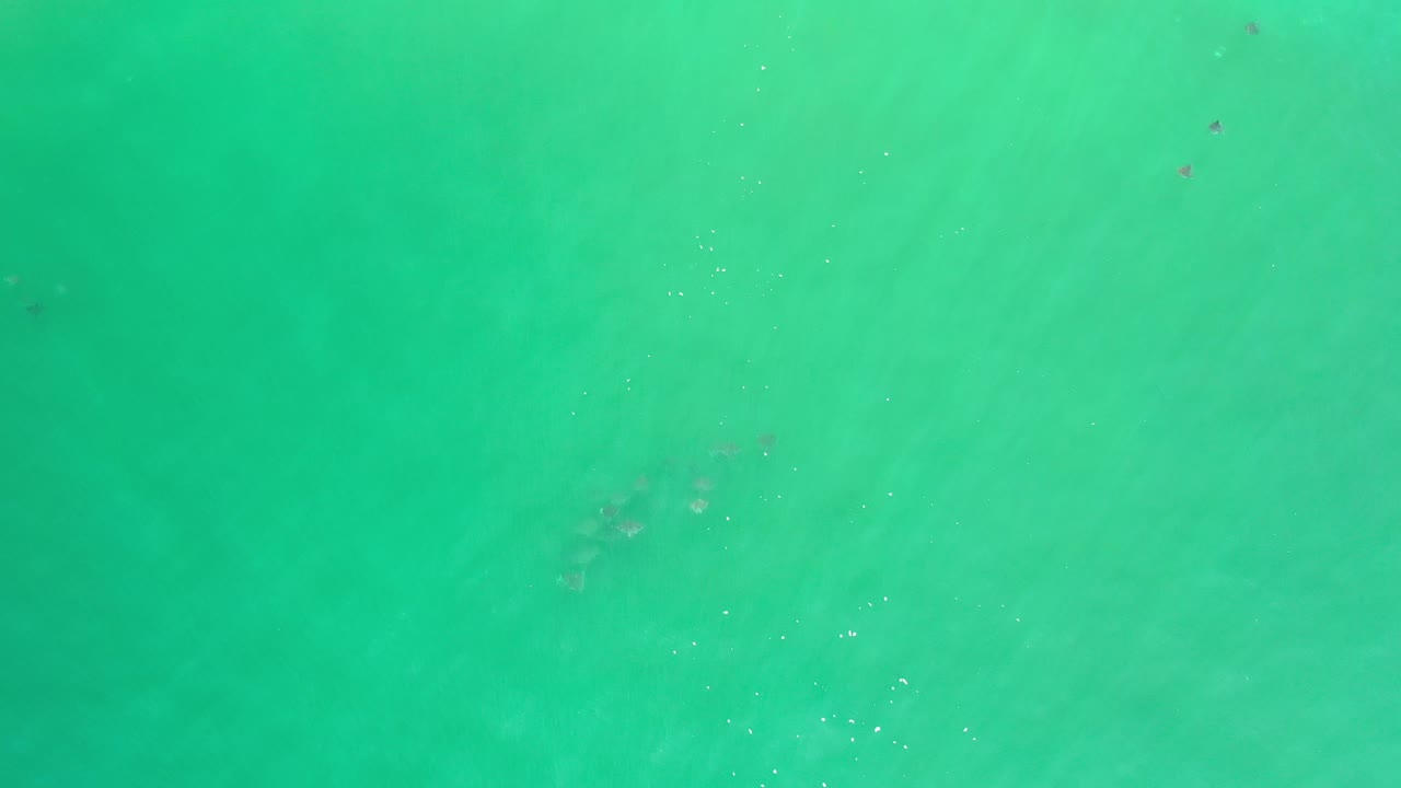 Aerial view of clear turquoise water with faint darker areas.