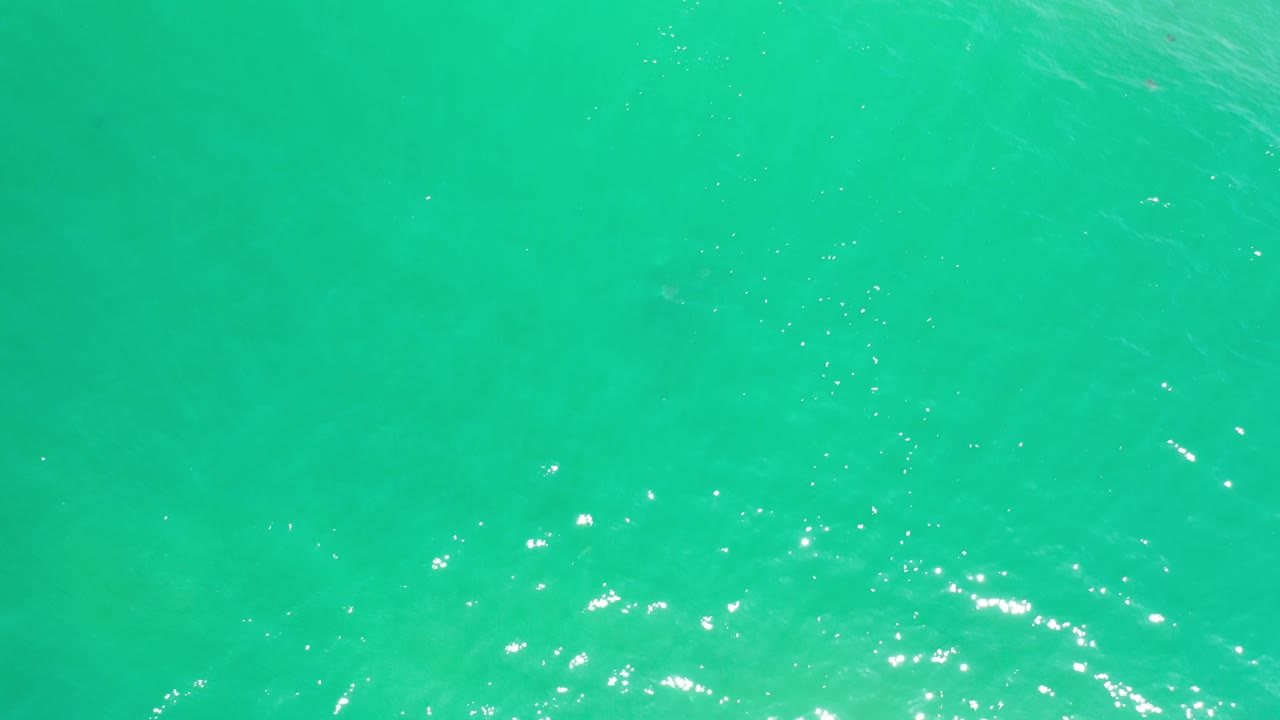 Sea-green Los Cabos water fills the frame, with small bright highlights clustered near the lower portion and no visible people.