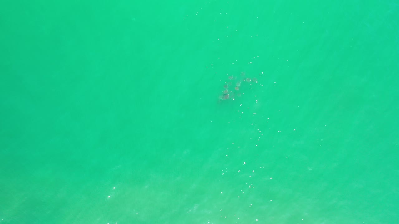 Overhead view of turquoise green ocean water in Los Cabos, Mexico, with faint surface ripples and no visible people.