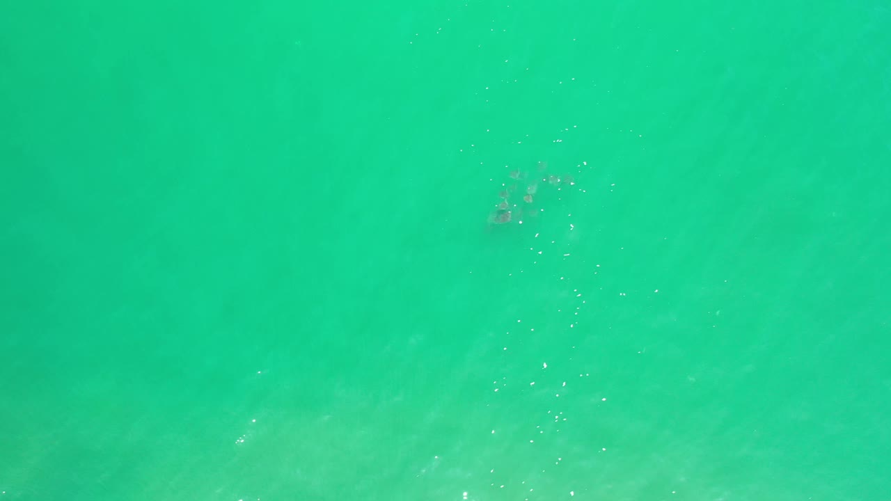 Aerial view of clear green-blue sea surface.