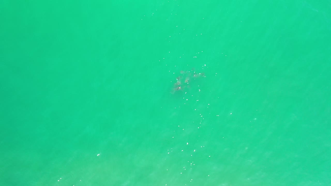 Overhead Los Cabos ocean view with pale ripples crossing turquoise green water and indistinct darker shapes beneath the surface, with no visible people.