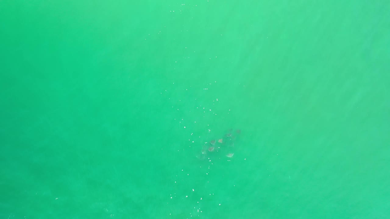 Green ocean water fills the frame in Los Cabos, Mexico, with small bubbles near the upper left, a dim submerged shape, and no visible people.