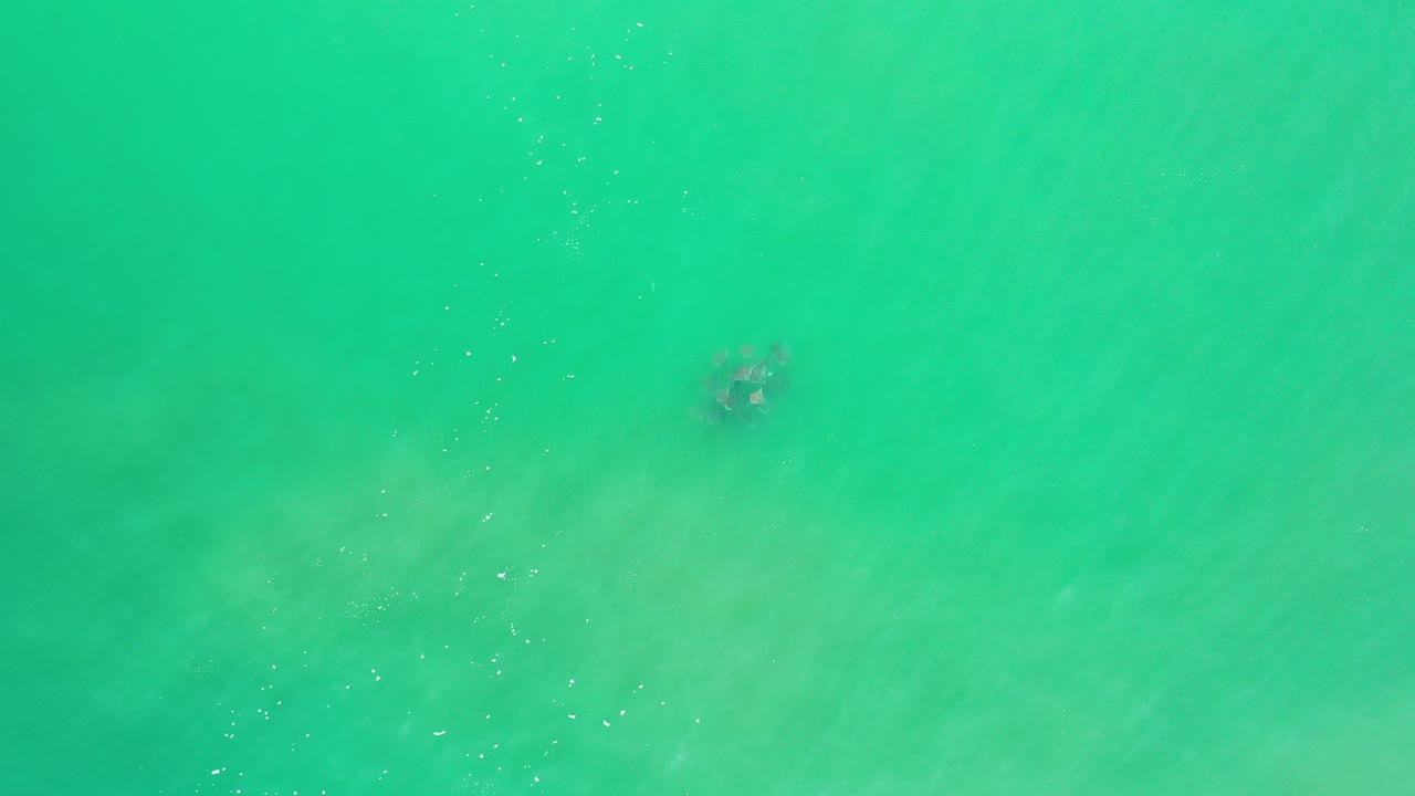 Overhead green ocean water in Los Cabos, Mexico with a dark submerged object near the upper center and no visible people.