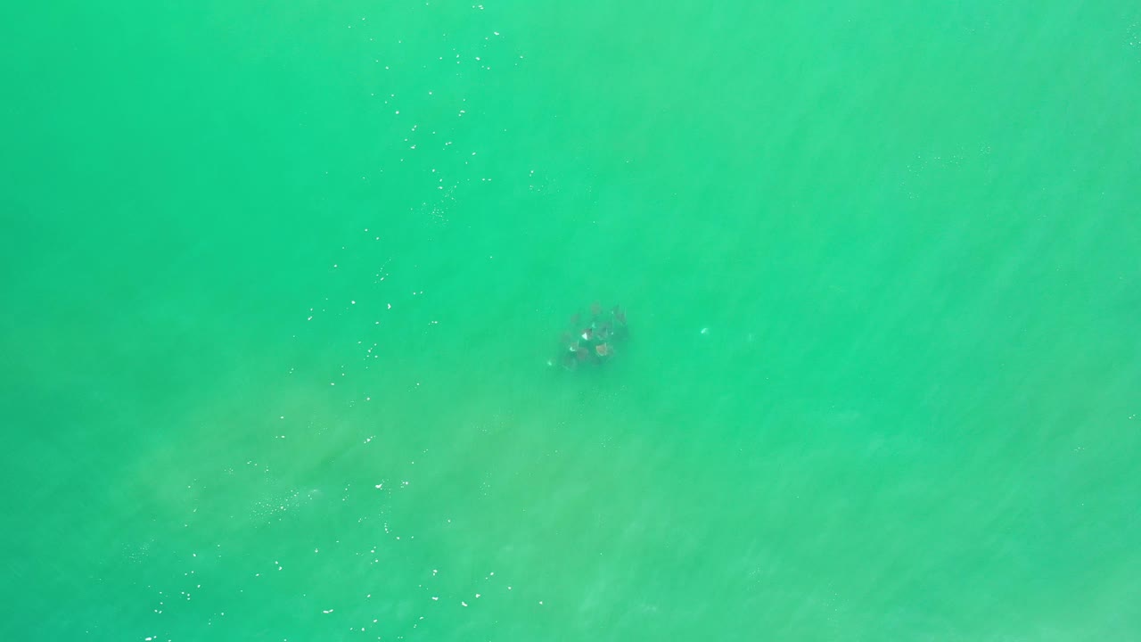Aerial view of turquoise-green water with a small dark submerged form near the upper right.