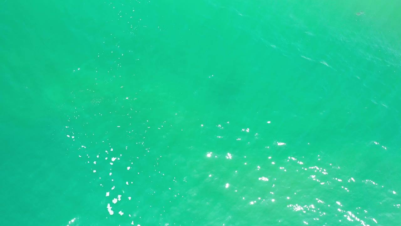 Green ocean surface with bright reflected light and faint underwater forms.