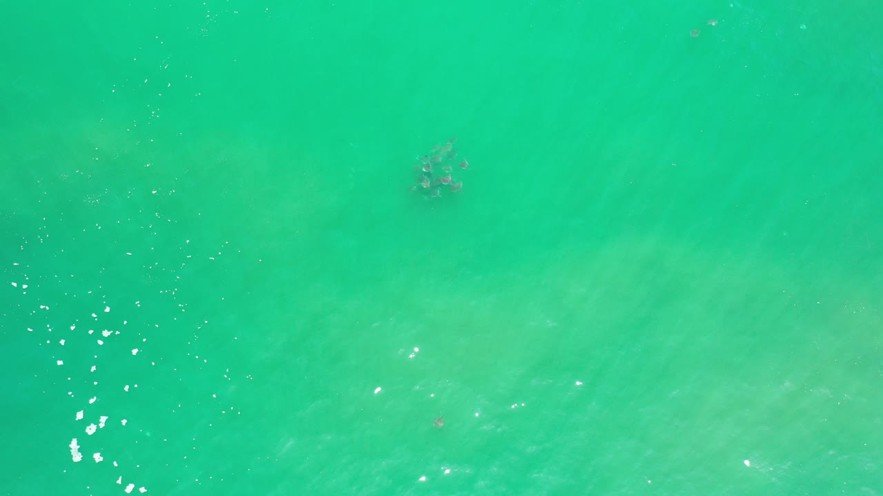 Top-down view of green ocean water in Los Cabos, Mexico, with a small fish school near the upper center, scattered sun glints, and no visible people.