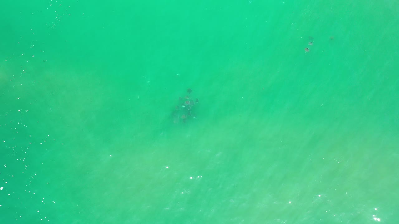 Overhead view of green-blue ocean water in Los Cabos, Mexico, with a soft dark shadow beneath the surface and no visible people.