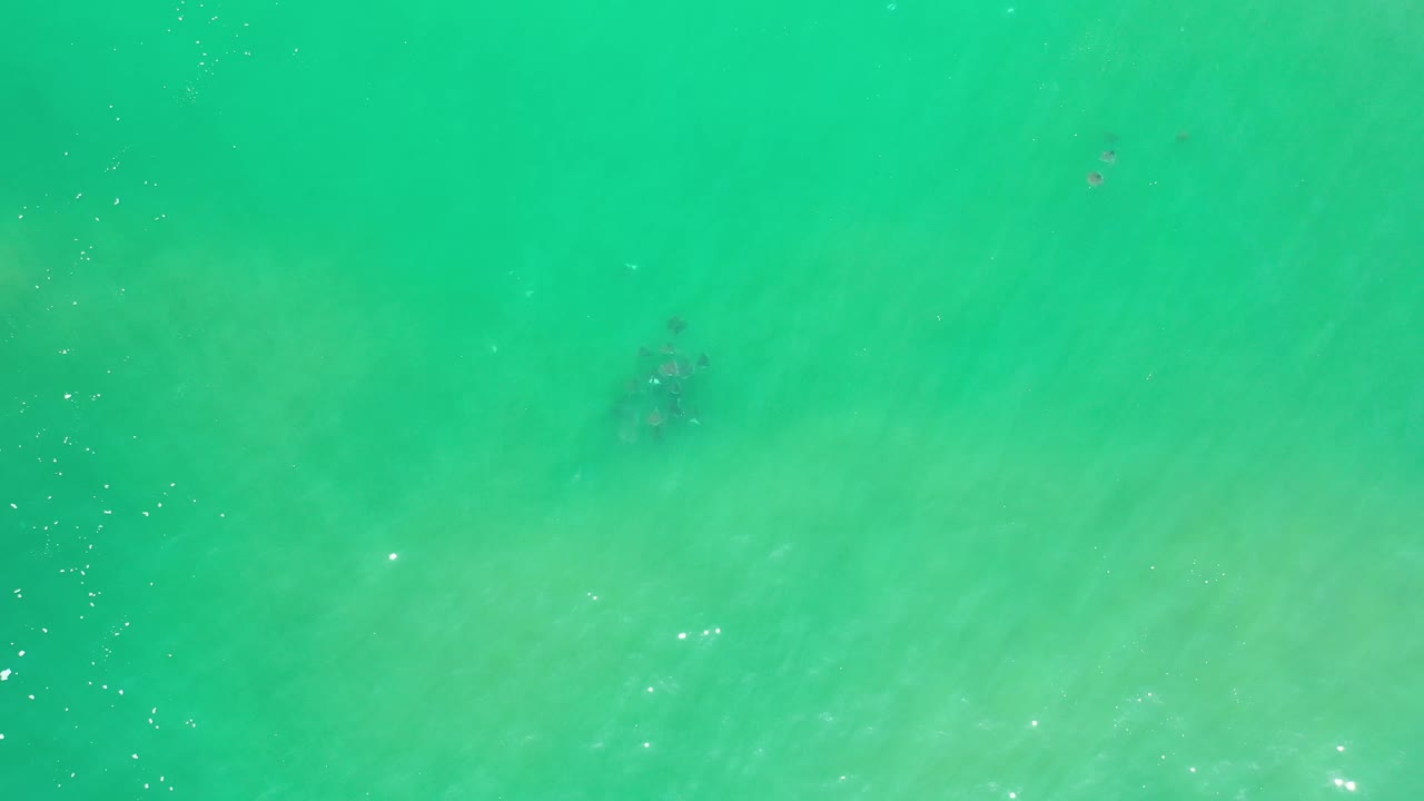 Aerial frame of calm green ocean in Los Cabos, Mexico, with cloudy patches in the water and no visible people.
