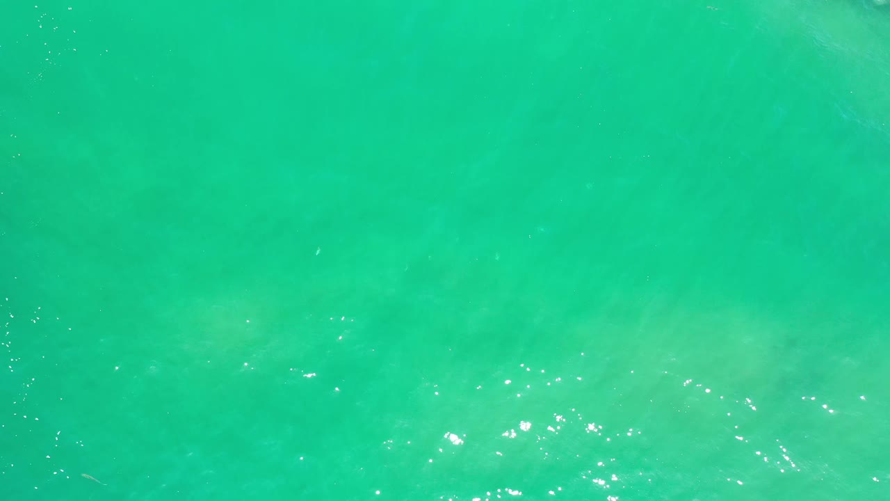 Greenish blue Los Cabos water fills the frame with brighter shimmer near the lower edge and no visible people or boats.