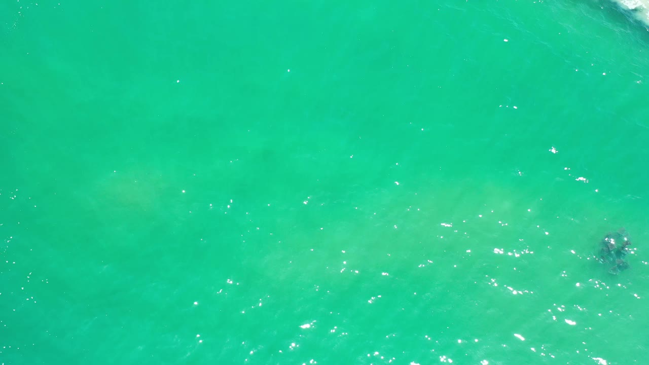 Aerial view over Los Cabos water with green-blue color, a small dark submerged patch near the center, white sparkle on the surface, and no visible people.