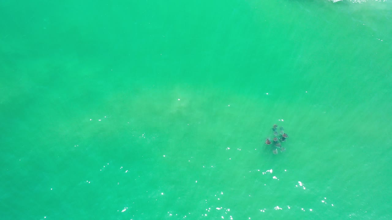 Overhead view of greenish-blue water in Los Cabos, Mexico, with a small dark submerged patch near the center and no visible people.