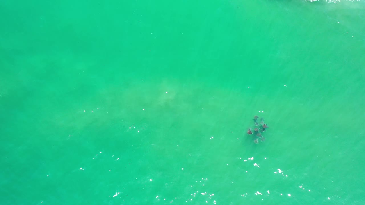 Aerial frame of turquoise Los Cabos water with the dark submerged patch slightly left of center and small sunlight sparkles, with no visible people.