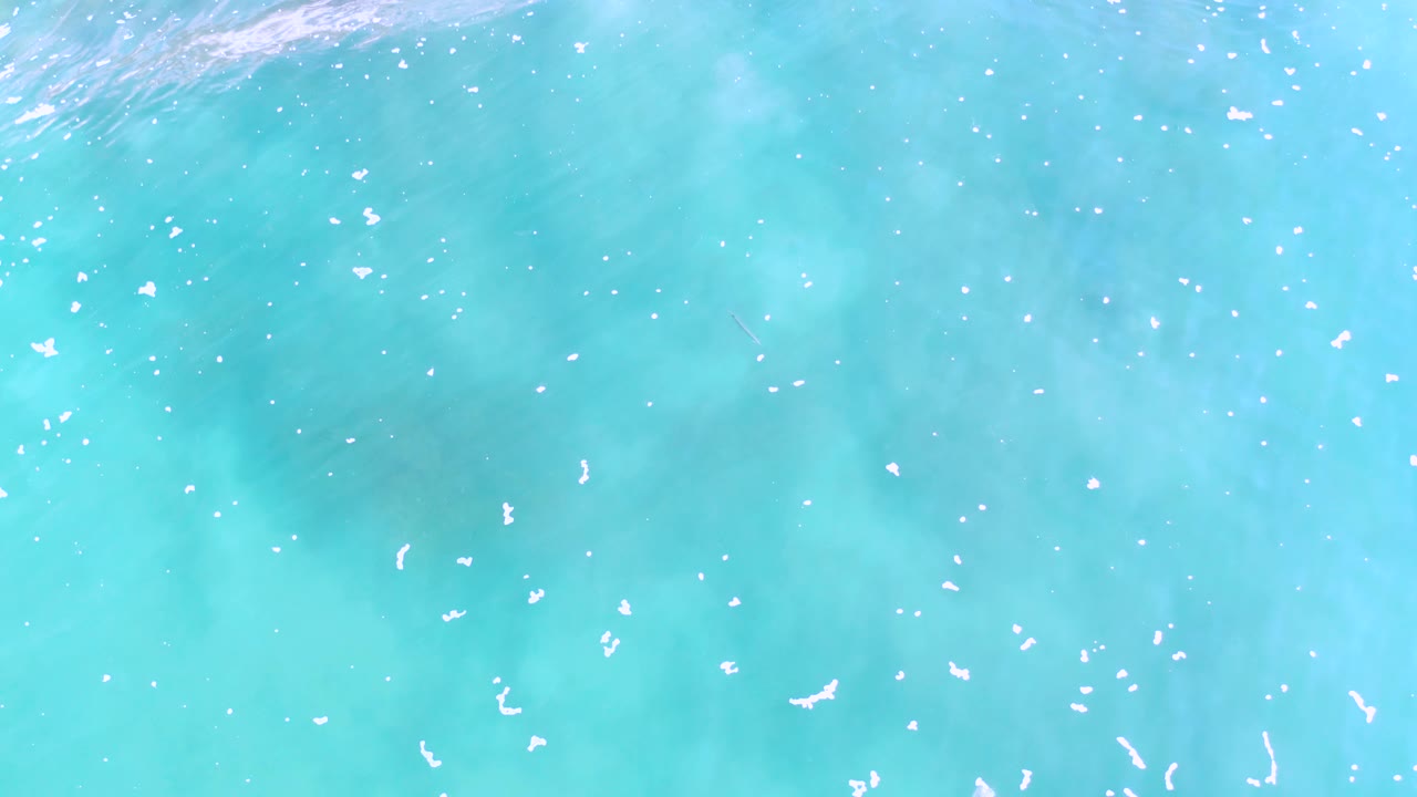 Bright blue water with scattered white foam marks across the surface.