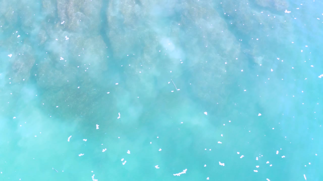 Blue-green ocean water from above in Los Cabos, Mexico, with pale foam specks spread across the surface and no visible people.
