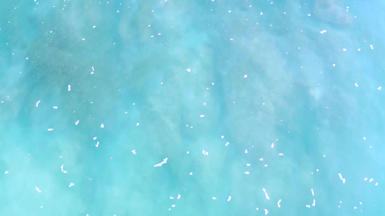 Blue ocean surface with scattered white sun glints.