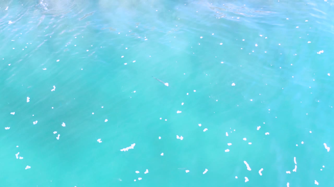 Overhead frame of bright turquoise water in Los Cabos, Mexico, with scattered foam specks and pale cloudlike underwater tones, with no visible people.