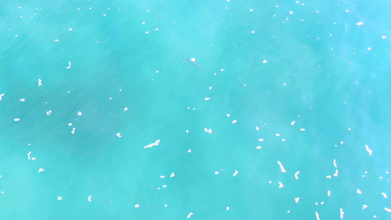 Top-down aqua tide water over soft submerged patterns in Los Cabos, Mexico, with thin white foam flecks and no visible people midway through the clip.