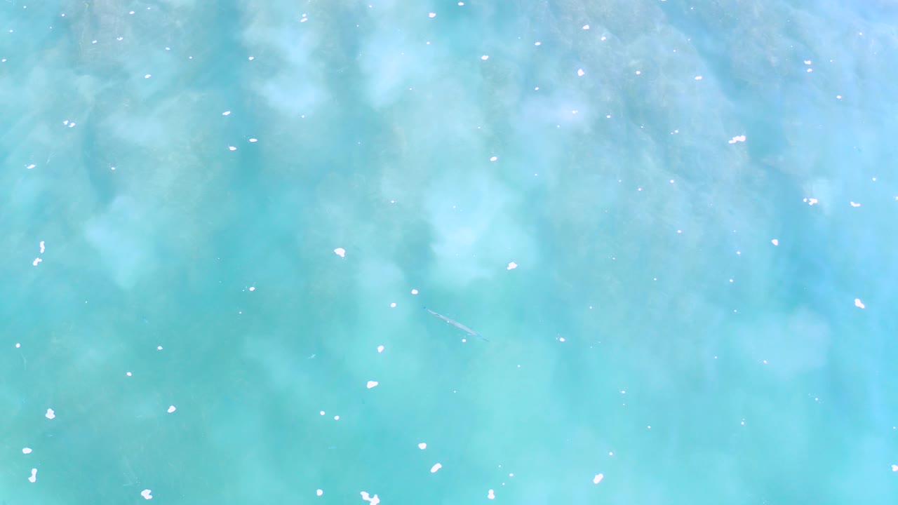 Overhead view of turquoise water in Los Cabos, Mexico, with small white foam flecks spread across the frame and no visible people.