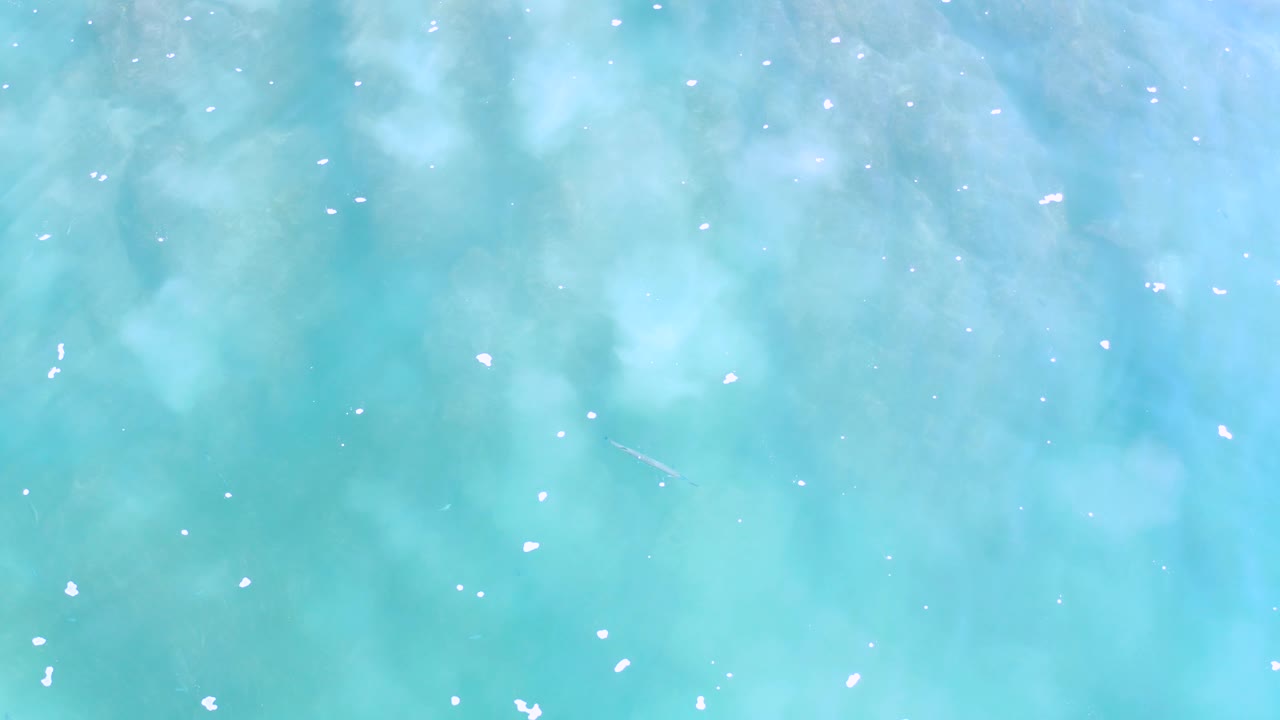 Blue-green water with pale cloudy patches and foam specks.