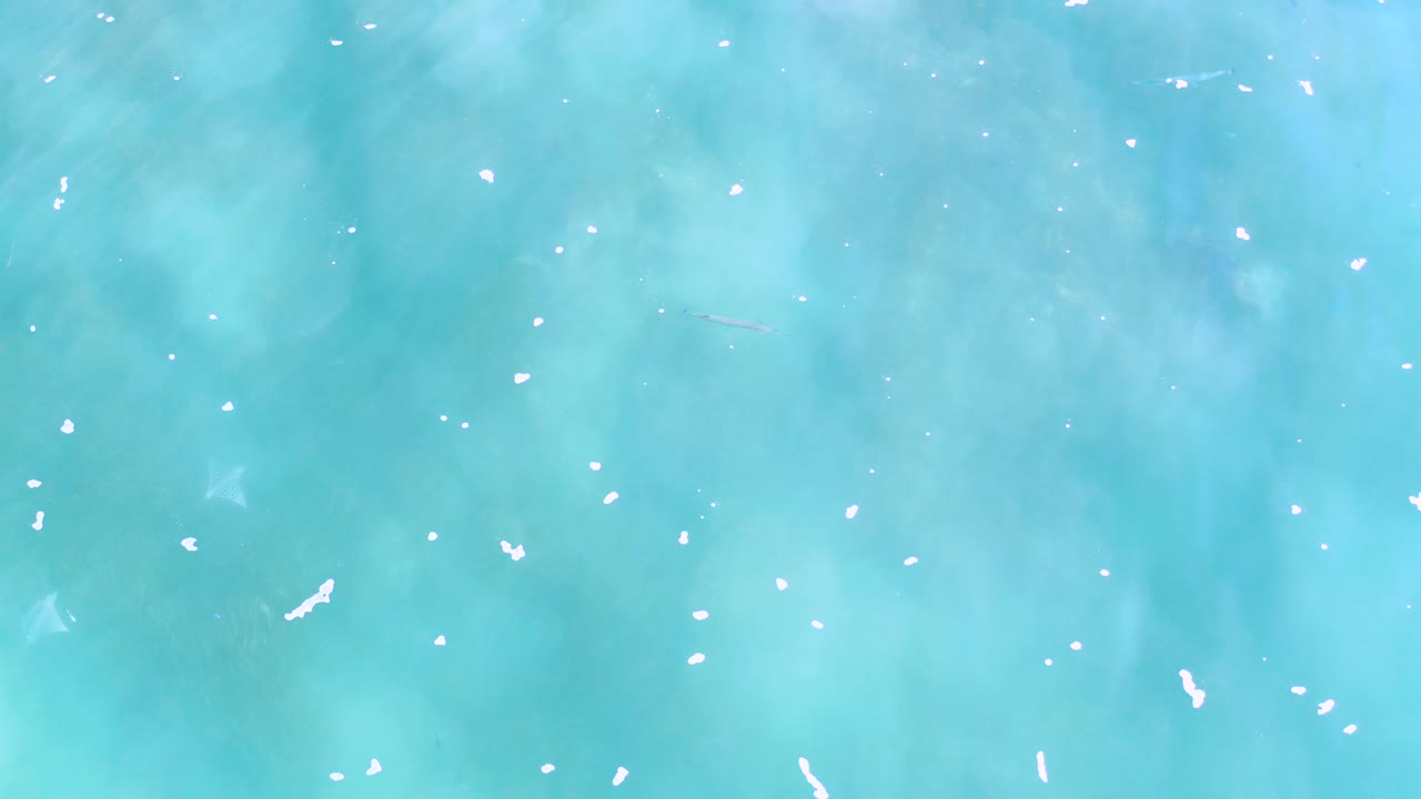 Overhead view of turquoise water in Los Cabos with pale underwater color variation, small white flecks on the surface, and no visible people.
