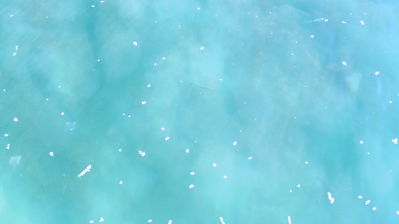 Calm turquoise water in Los Cabos shows clouded blue variations and scattered white marks across the surface, with no visible people.