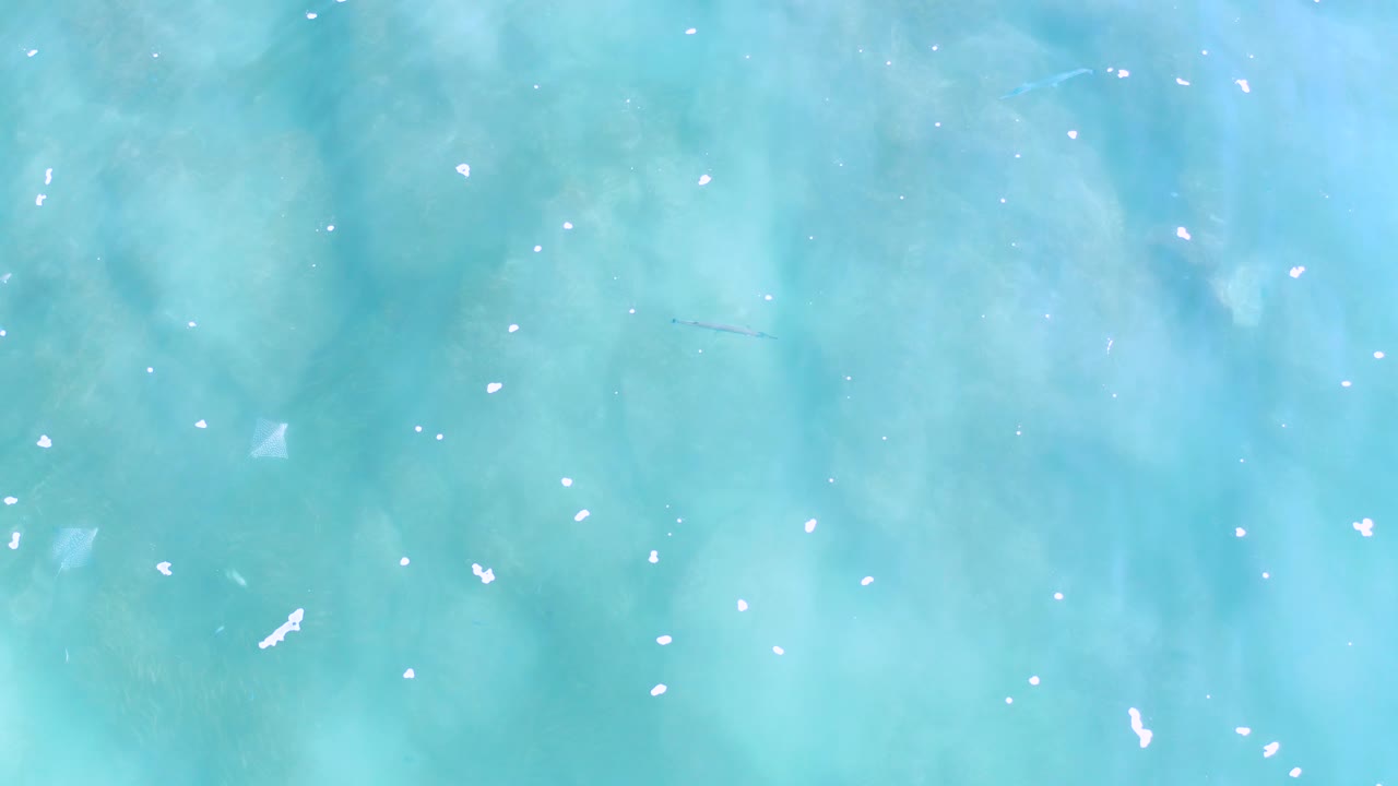 Pale blue Los Cabos water fills the shot with small white highlights and muted subsurface shapes, with no visible people or shoreline.