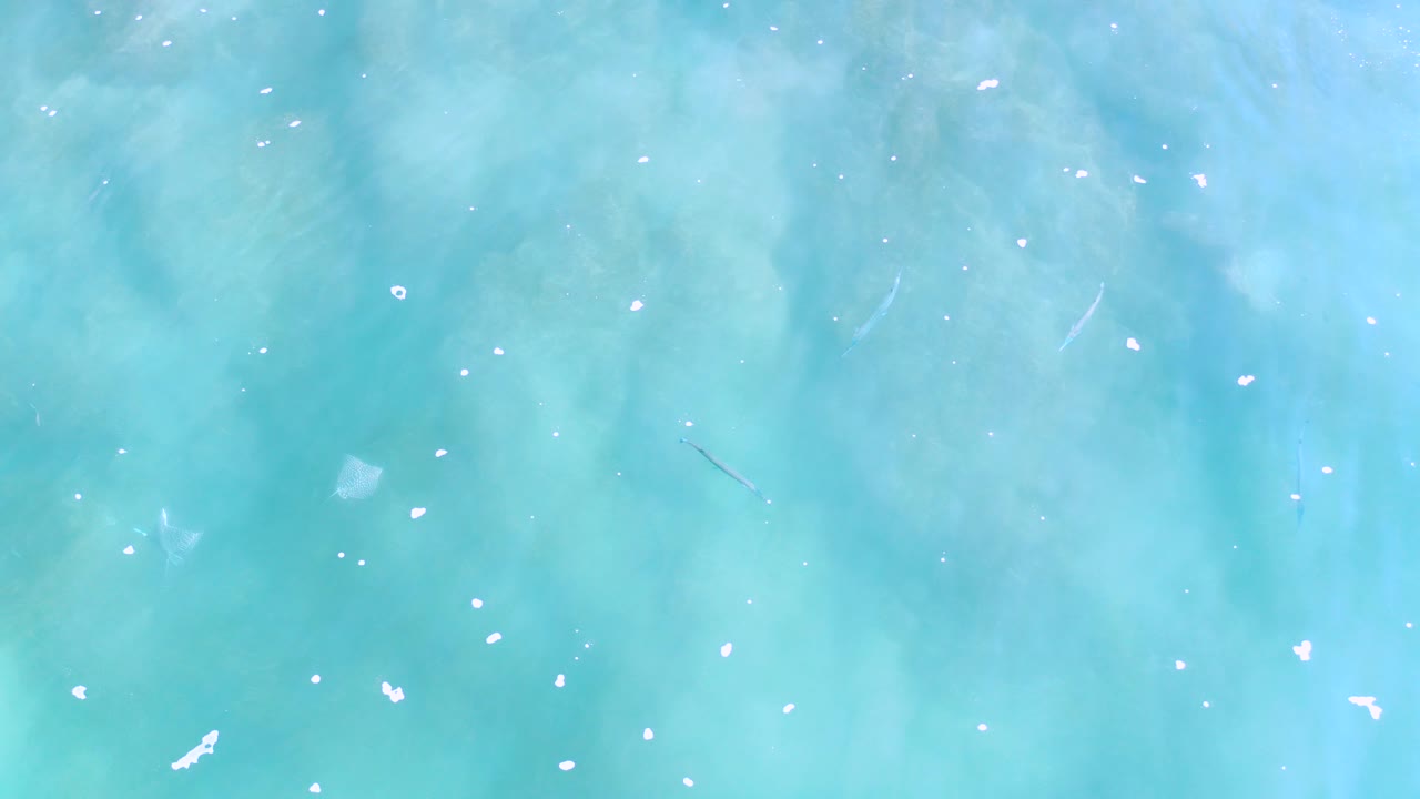 Turquoise ocean surface with scattered white sea foam