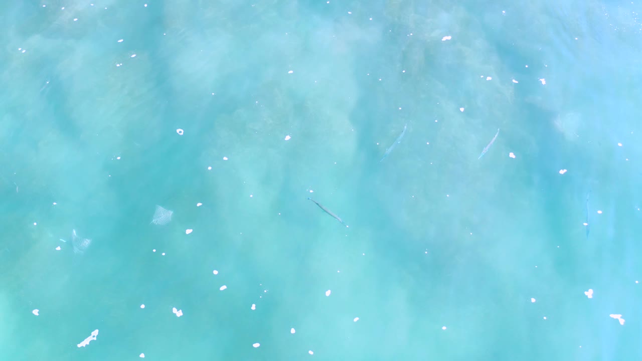 Blue-green Los Cabos ocean surface shows fine white foam specks spread across the water and no visible people.